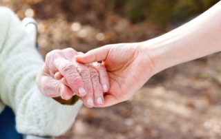 Elder Law Attorneys