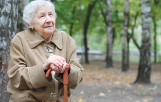 elder law attorney