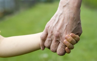 elder law