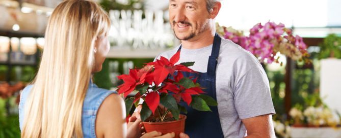 estate planning for small business